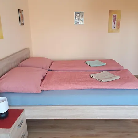 Pension Zelený strom-2