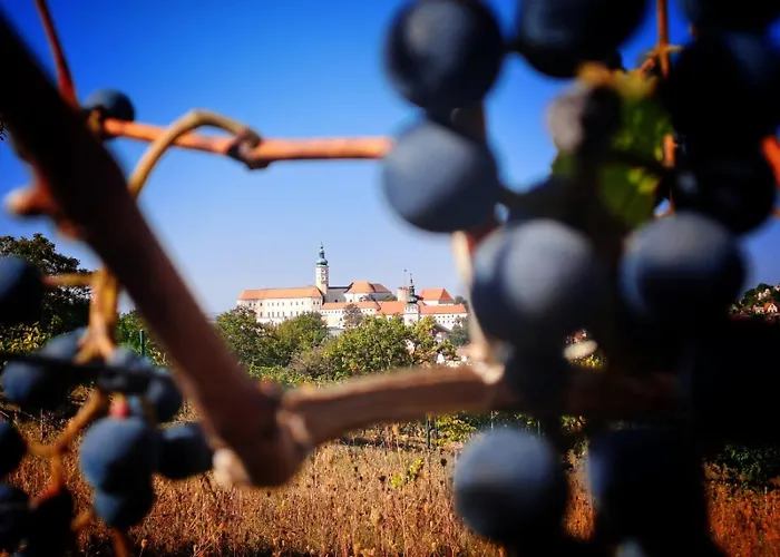 Hotel Pod Vinicí Mikulov